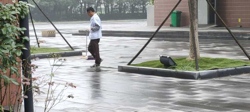 1595035316427115.jpg 1595035316427115.jpg